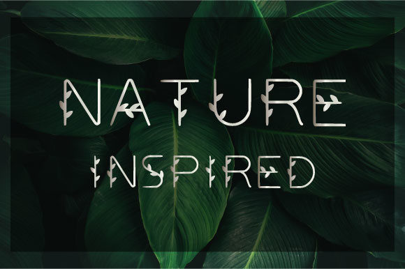 Nature Inspired: A Delicate and Fresh Display Font for Modern Design